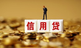 成都无抵押哪有个人借贷-成都无抵押小额贷款公司-成都无抵押私借空放免费上门
