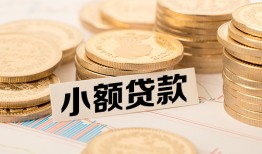 成都无抵押身份证贷款平台-成都无抵押私人借贷不查征信-成都无抵押空放借钱